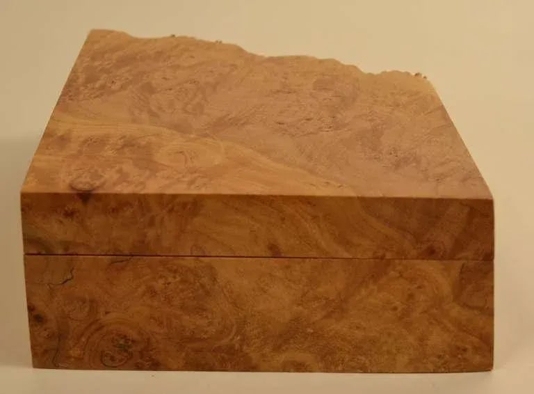Michael Elkan Hinged Burl Jewelry Box - 7