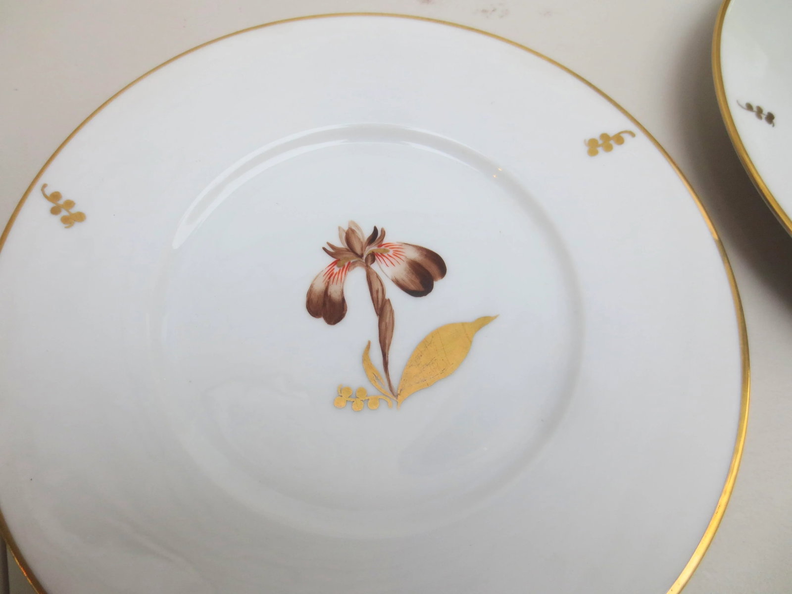 Brown Iris Plate by Royal Copenhagen Circa 1958 - 2