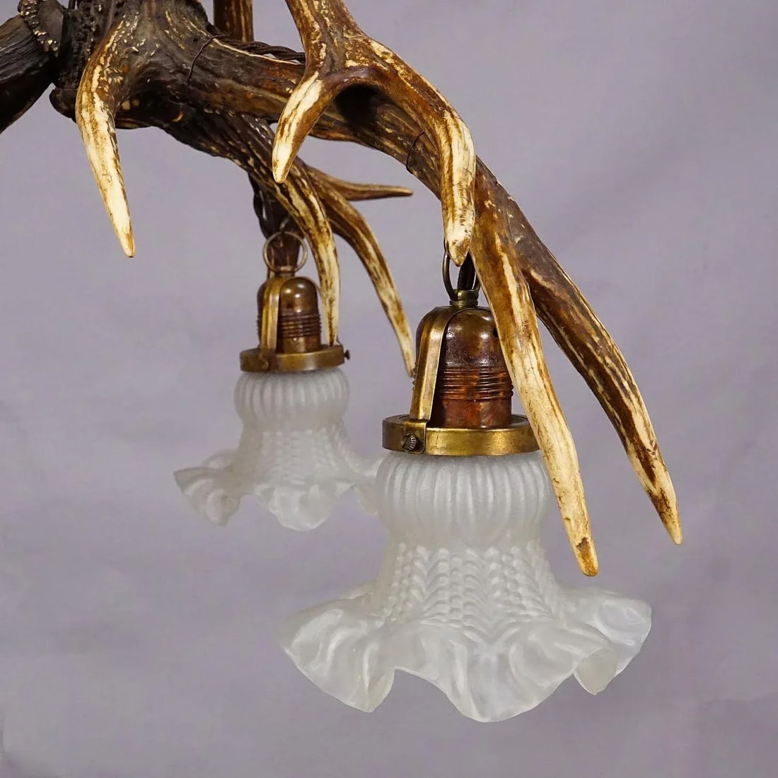 Large Black Forest Ceiling Lamp With Deer Antlers - 4