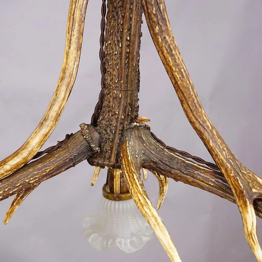Large Black Forest Ceiling Lamp With Deer Antlers - 6