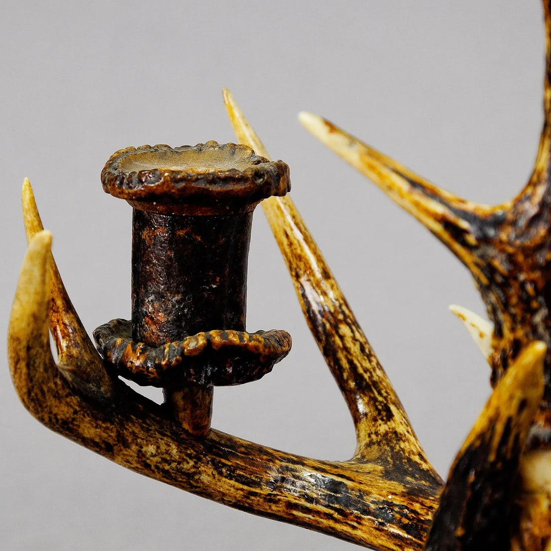 Decorative Antique Antler Candelabra With Three Spouts 1900 - 3