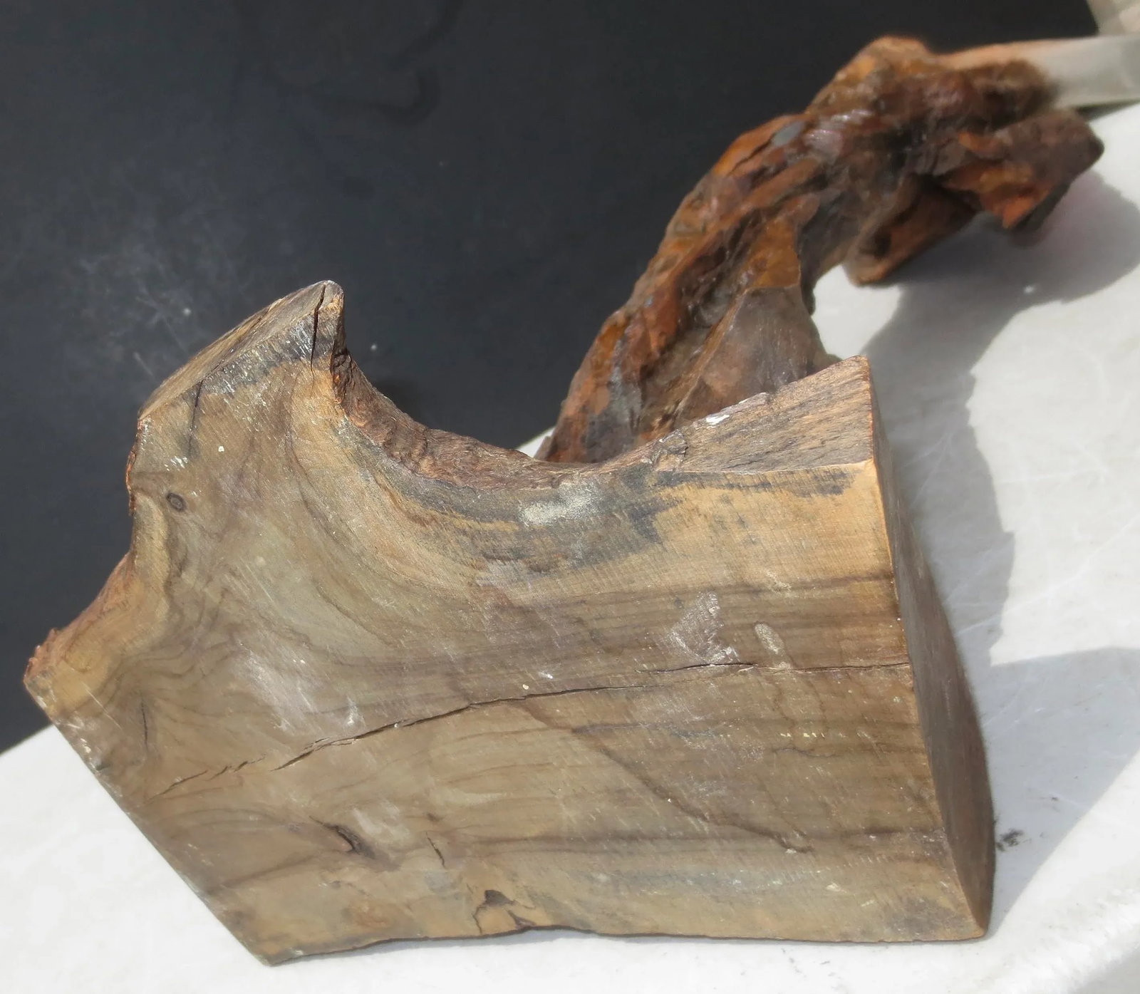 Moses Olivewood Carving by Ezra - 6