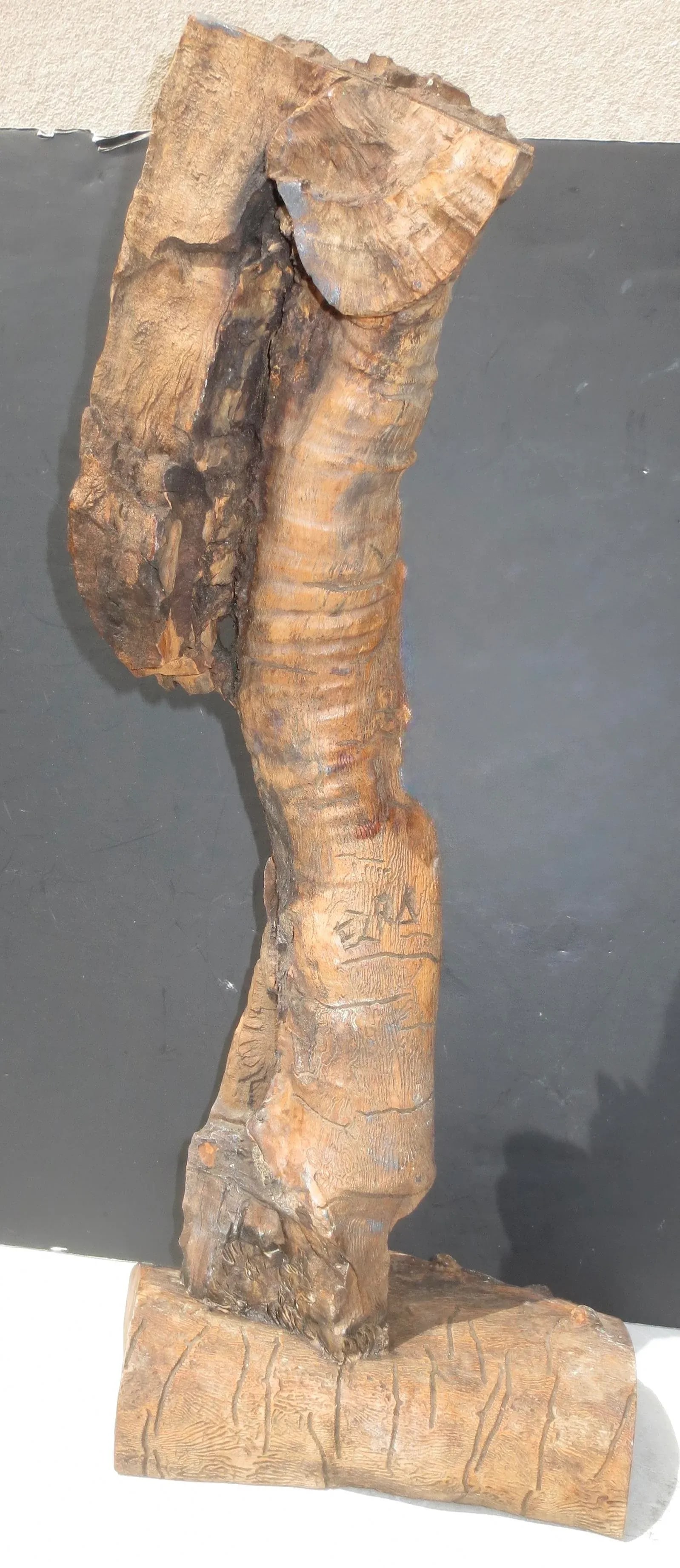 Moses Olivewood Carving by Ezra - 8