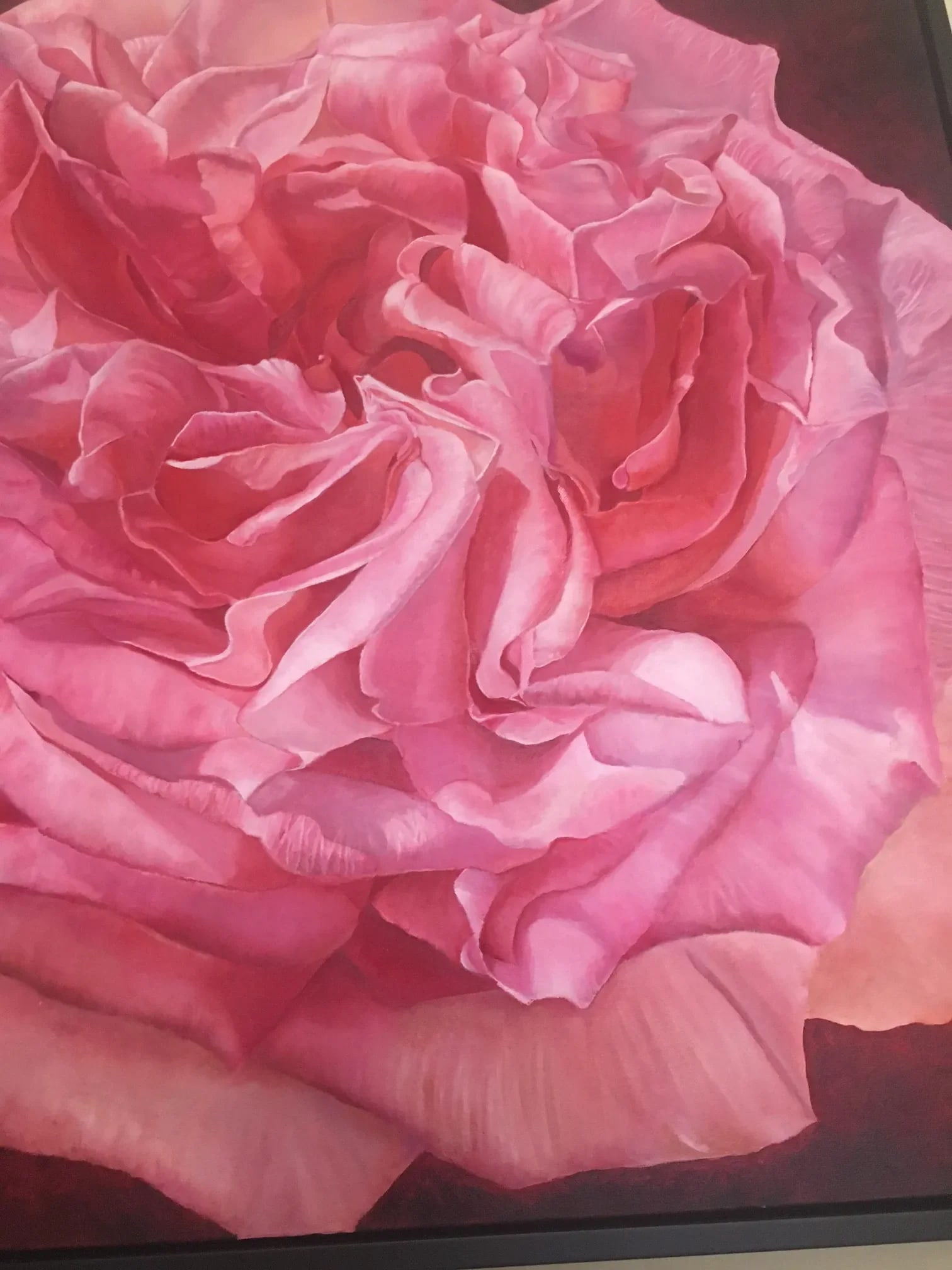 Framed Oil on Canvas Pink Rose " Viviene" by Shelly Gurton - 7