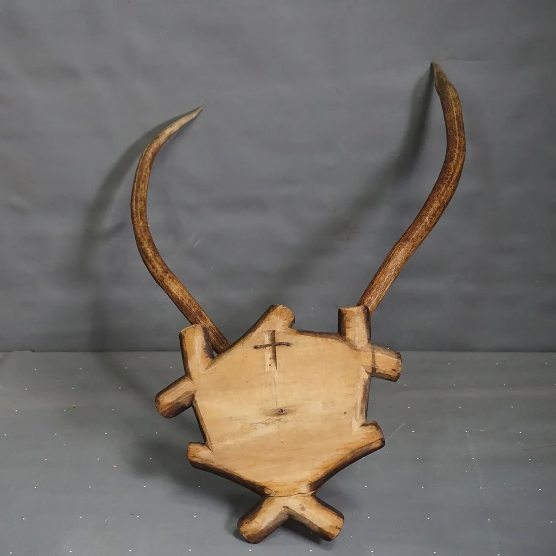 Large Black Forest Antique Deer Trophy, Germany 1940s - 4