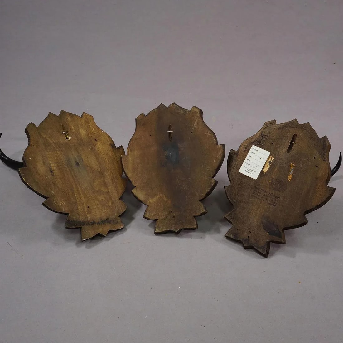 Set of Three Vintage Chamois Trophies on Carved Plaques, Germany - 5