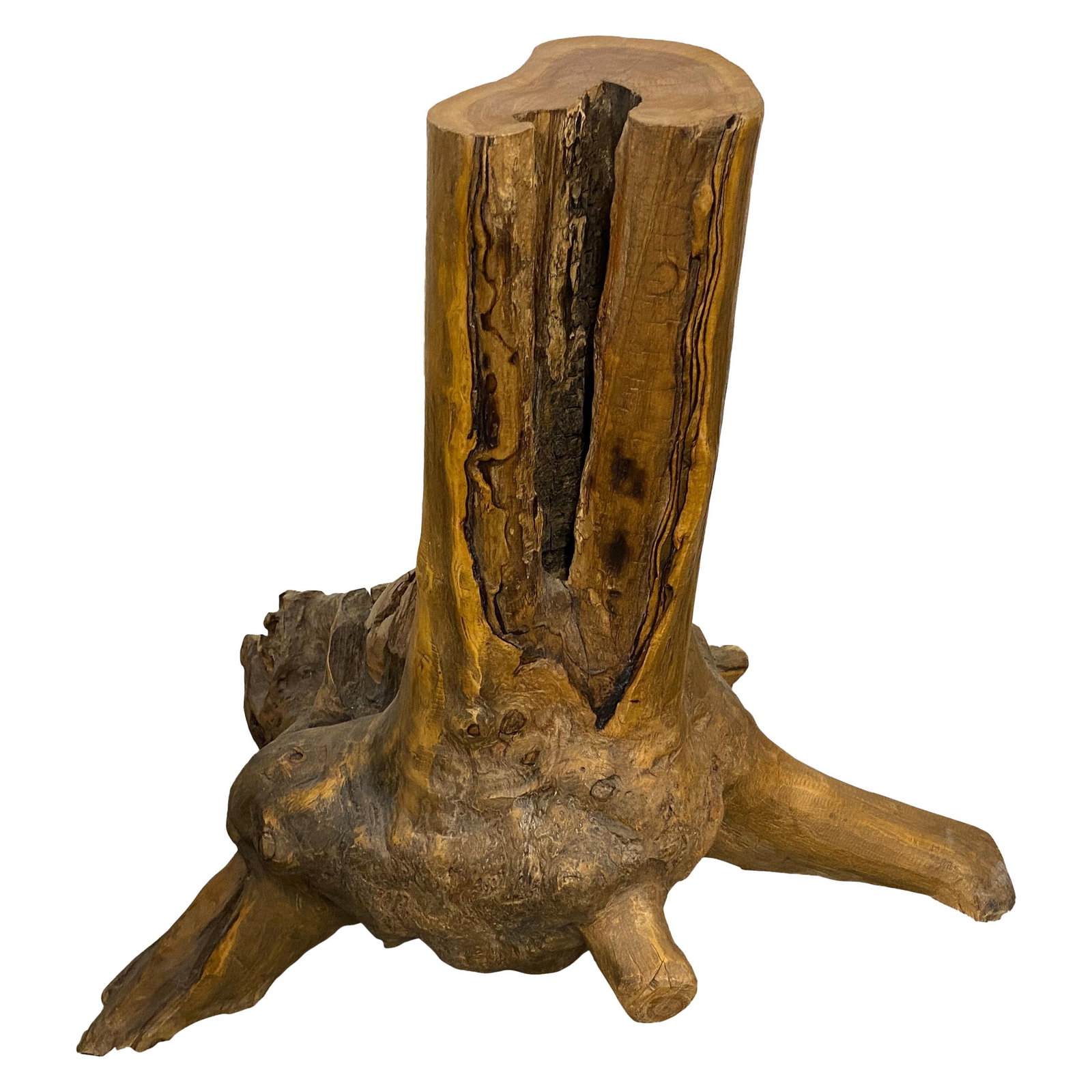 Andrianna Shamaris Organic Teak Wood Root Side Table - 2