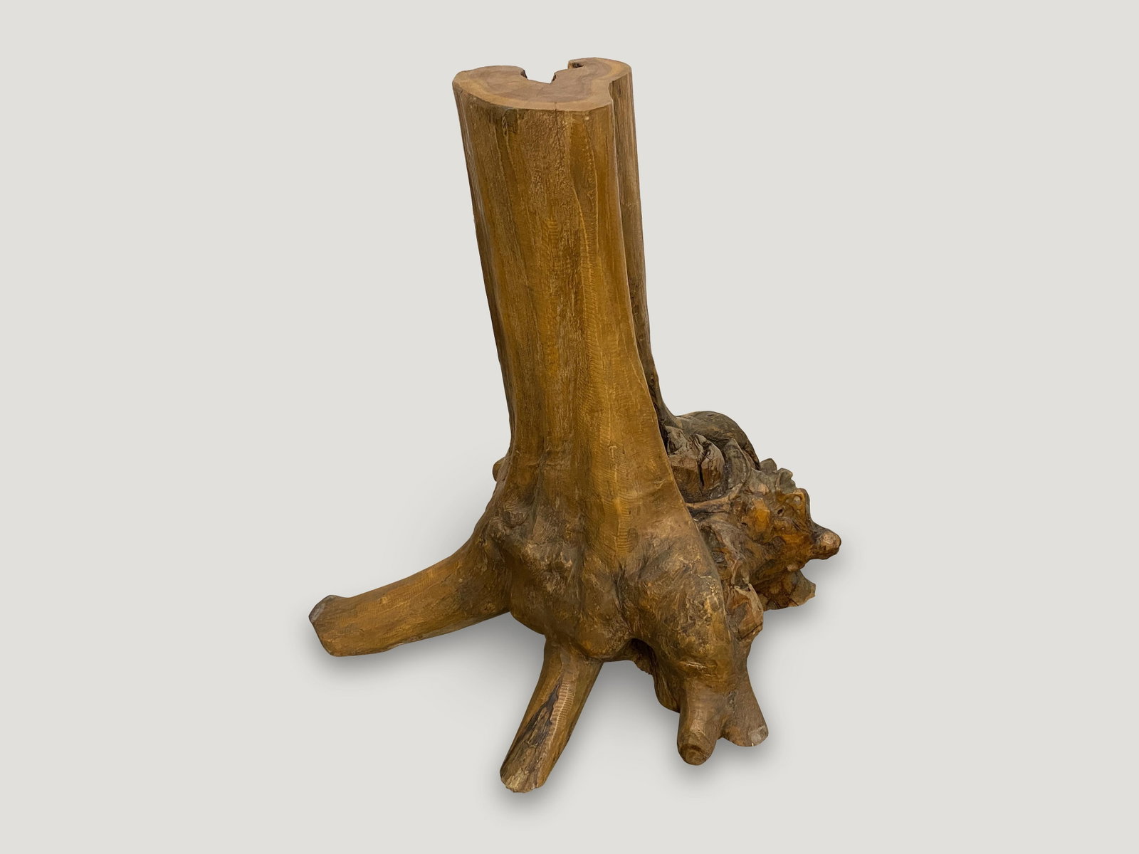 Andrianna Shamaris Organic Teak Wood Root Side Table - 3