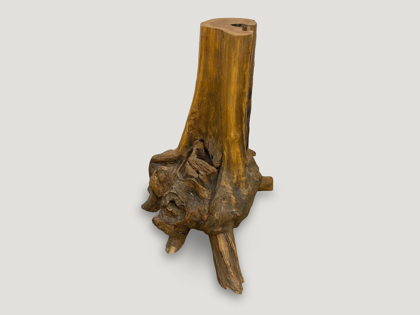 Andrianna Shamaris Organic Teak Wood Root Side Table - 4