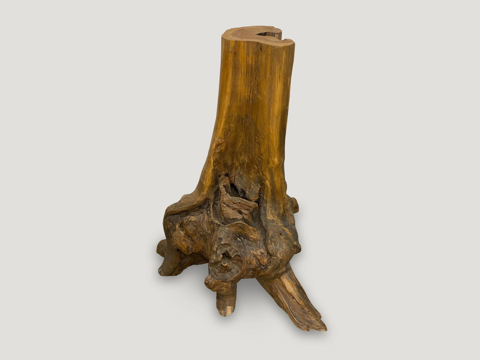 Andrianna Shamaris Organic Teak Wood Root Side Table - 5