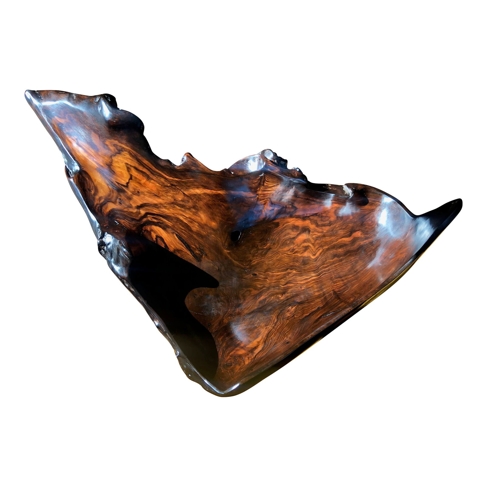 Large Irregular Shaped Burl Bowl: Large sculptural burl wood bowl with a smooth interior and an exterior that is both softly polished and naturally gnarled, highlighting its organic, free-form character. From certain angles, its