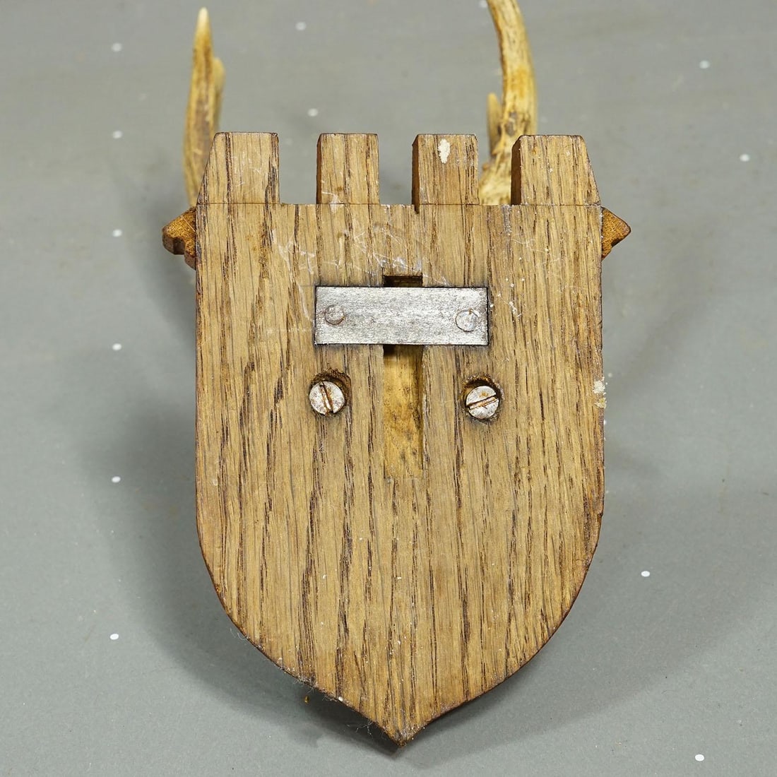 Vintage Red Deer Trophy by Franz Joseph, Prince of Thurn and Taxis, 1944 - 5