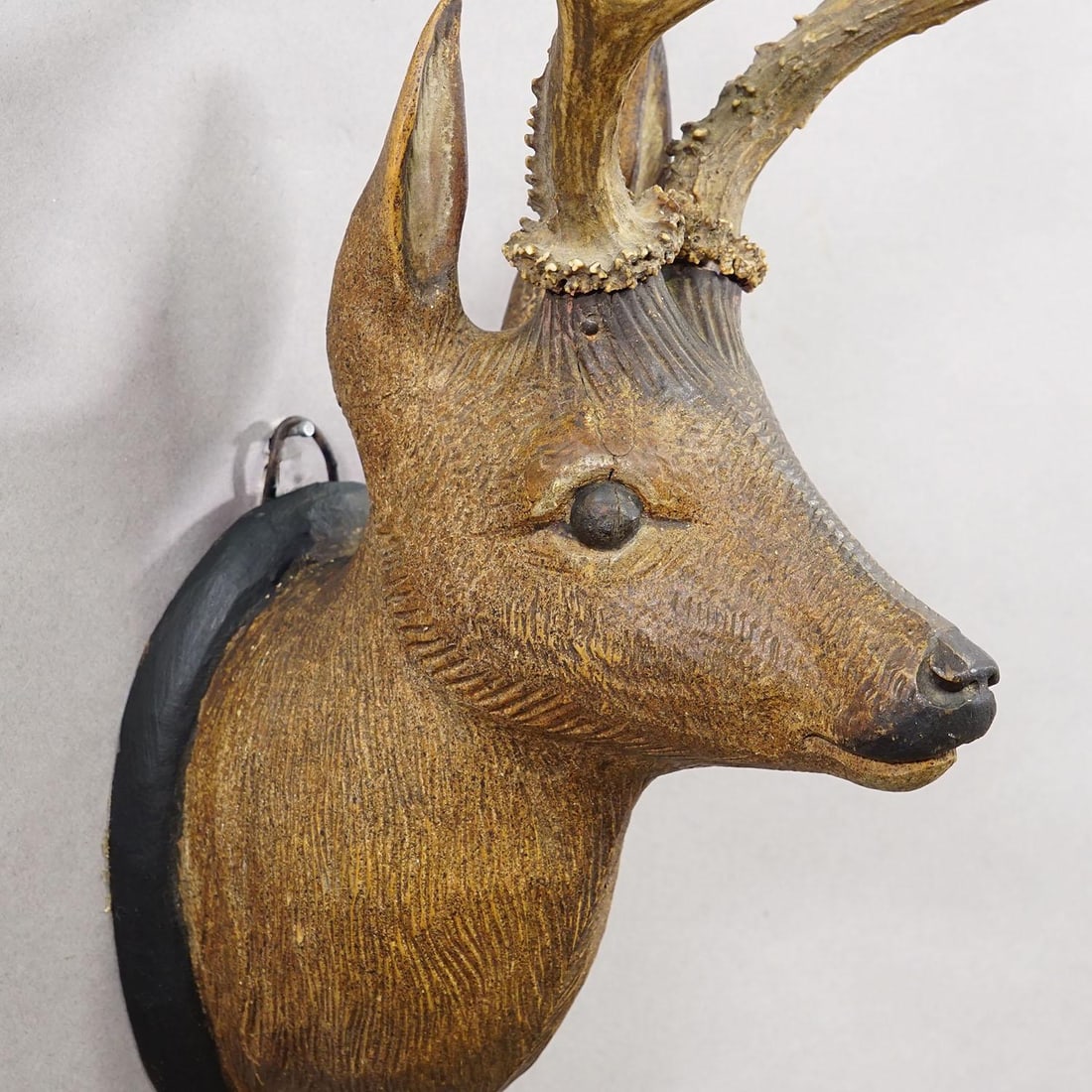 Large Naturalistic Black Forest Carved Deer Head, Ca. 1930s - 5