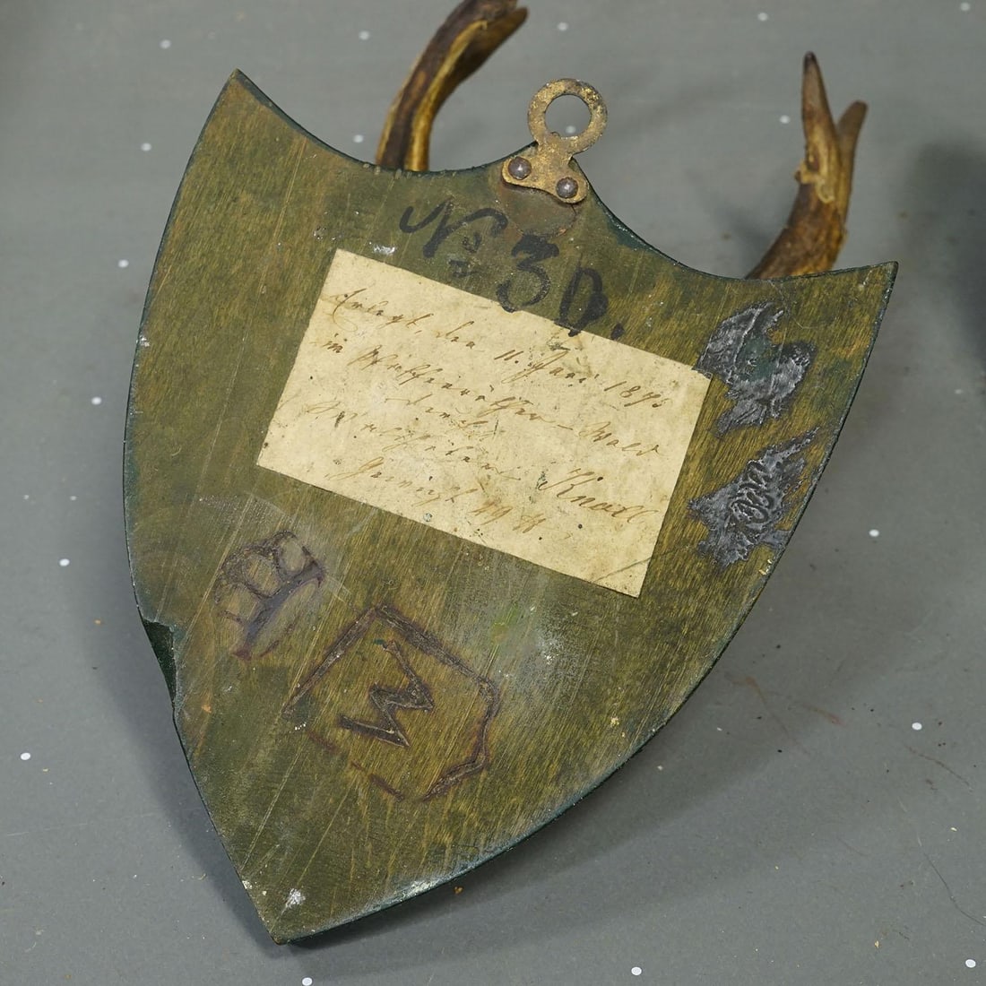 Set of Six Roe Deer Trophies on Wooden Plaques Salem Germany Ca. 1900s - 8