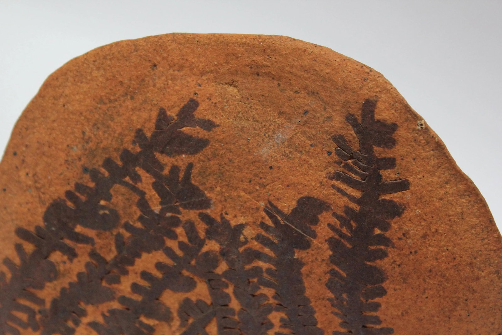 Vintage Studio Terracotta "Botanical" Sculpture Signed Polk 1974 - 11