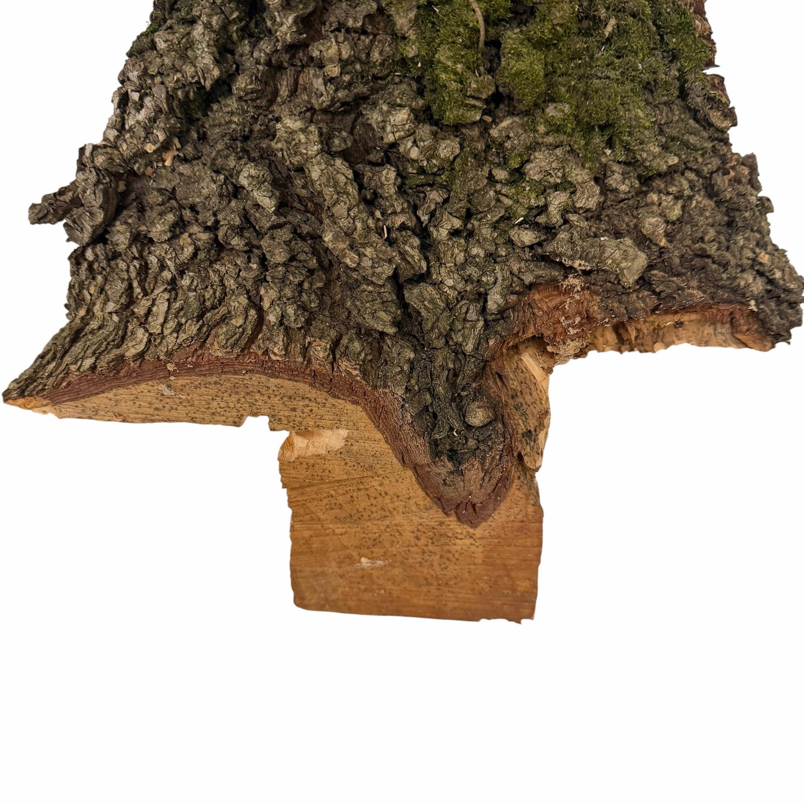 Vintage One of a Kind Handmade Live Edge Tramp, Folk Art Tree Model - 2