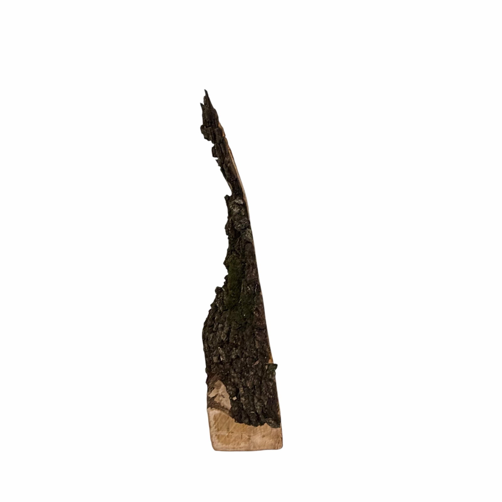 Vintage One of a Kind Handmade Live Edge Tramp, Folk Art Tree Model - 4