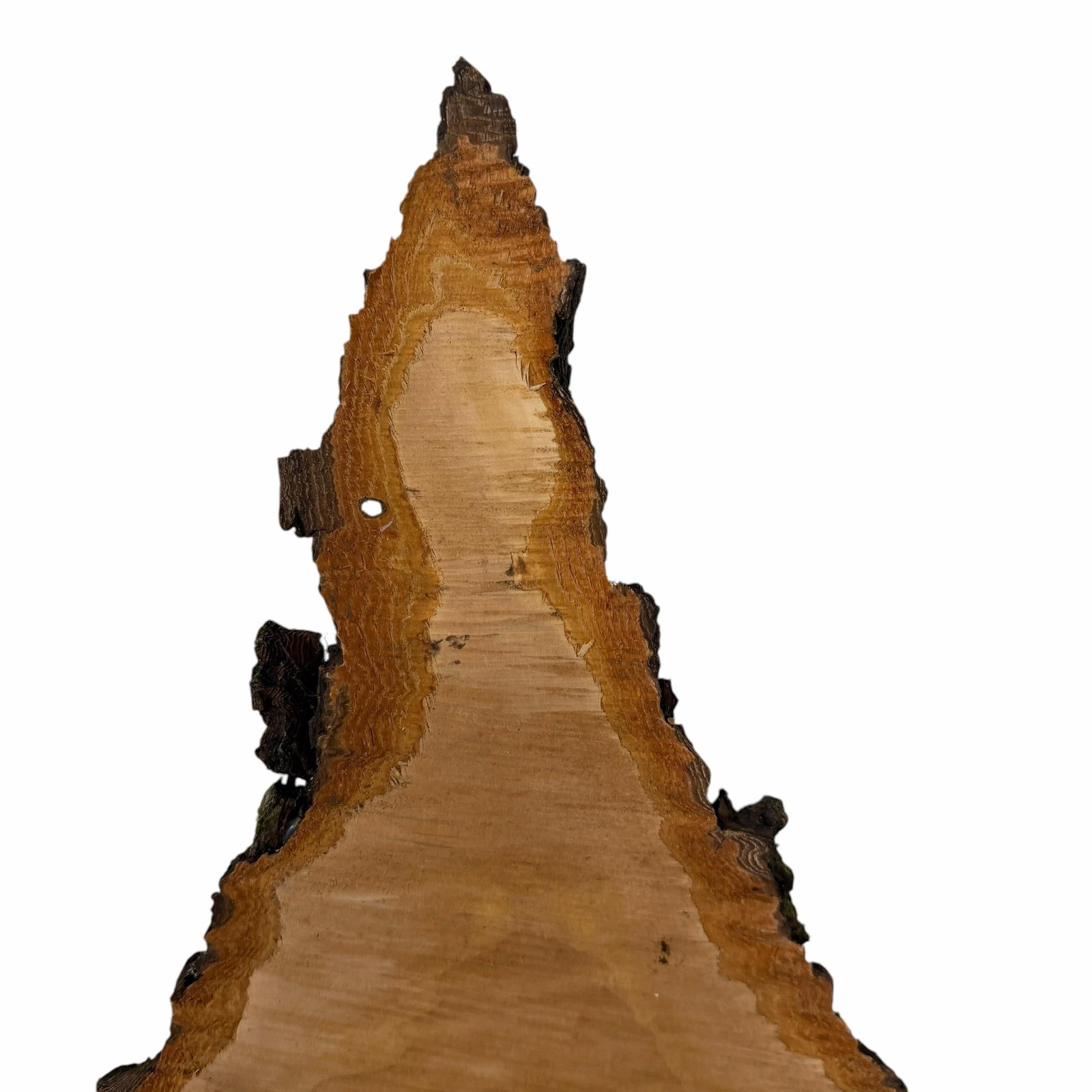 Vintage One of a Kind Handmade Live Edge Tramp, Folk Art Tree Model - 7