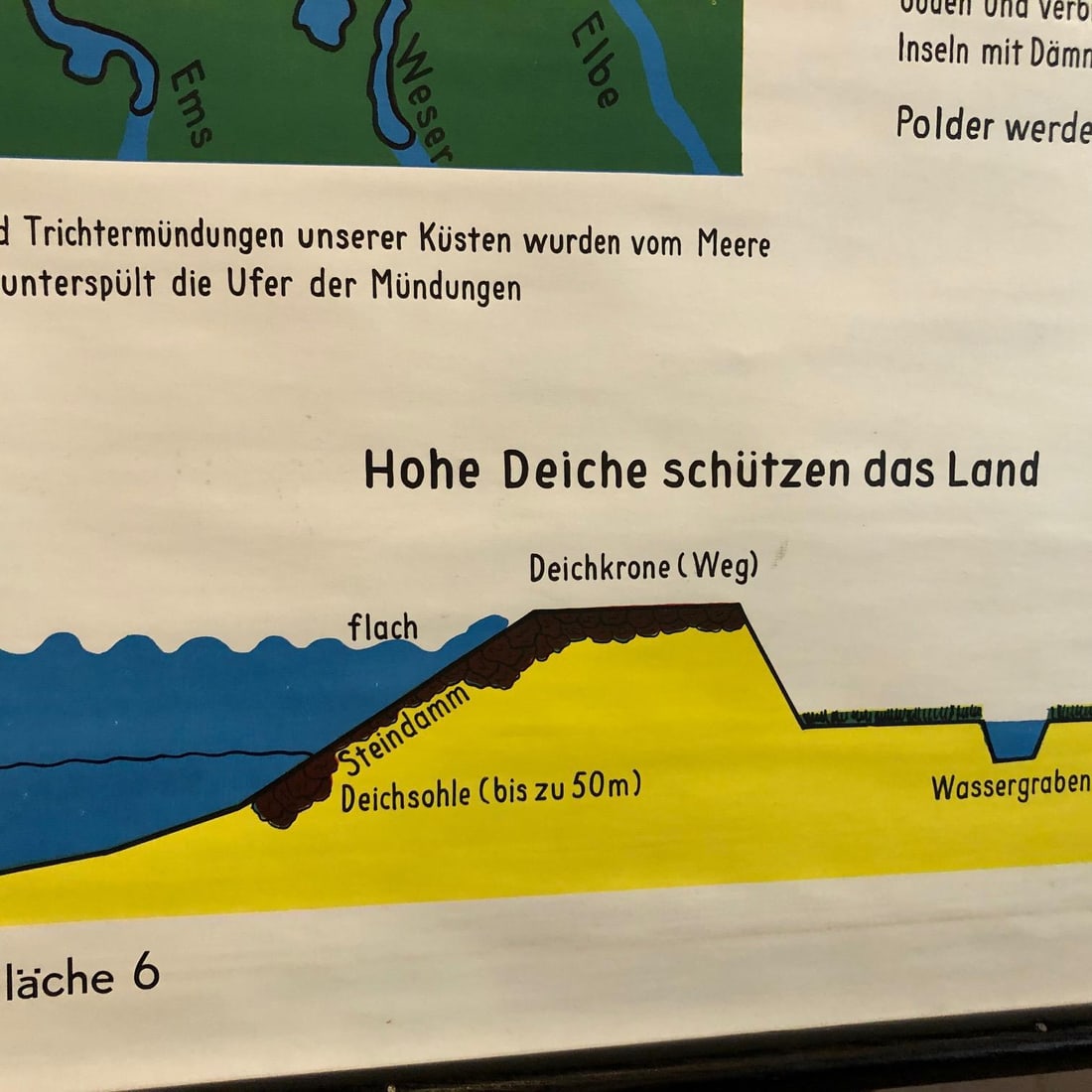 Mid 20th Century German Scientific Ocean Tidal Erosion Geology Rollup Chart - 6