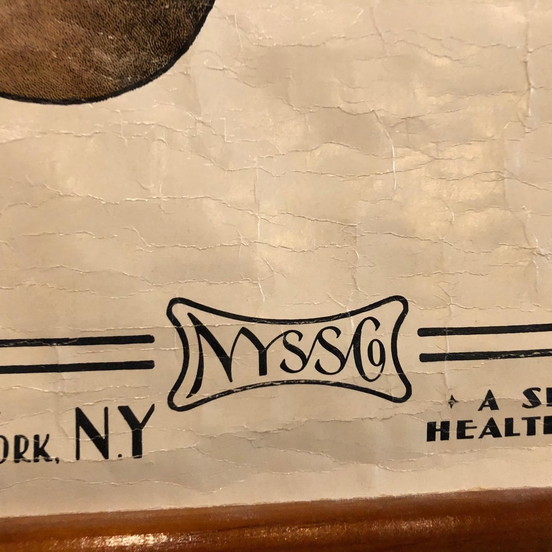 Mid 20th Century Educational Botanical Spirogyra Biology Chart by New York Scientific Supply Co. - 5