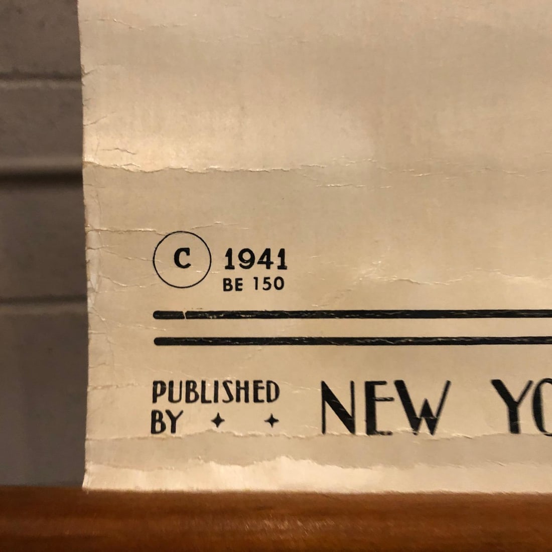 Mid 20th Century Educational Botanical Spirogyra Biology Chart by New York Scientific Supply Co. - 7