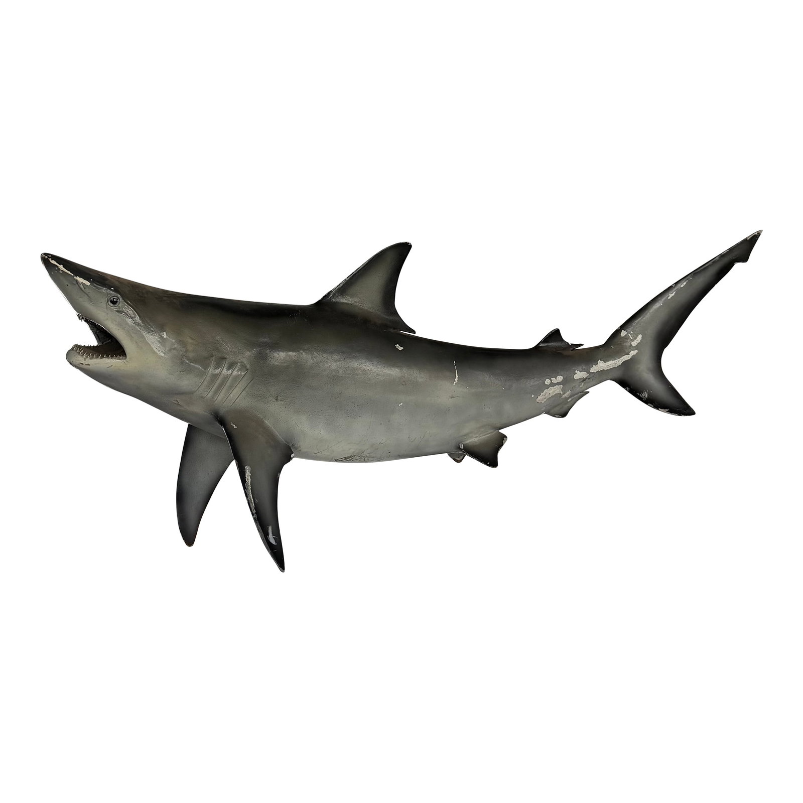 Mid 20th Century Life-Sized Fiberglass Mako Shark Display Mount (1 of 8)