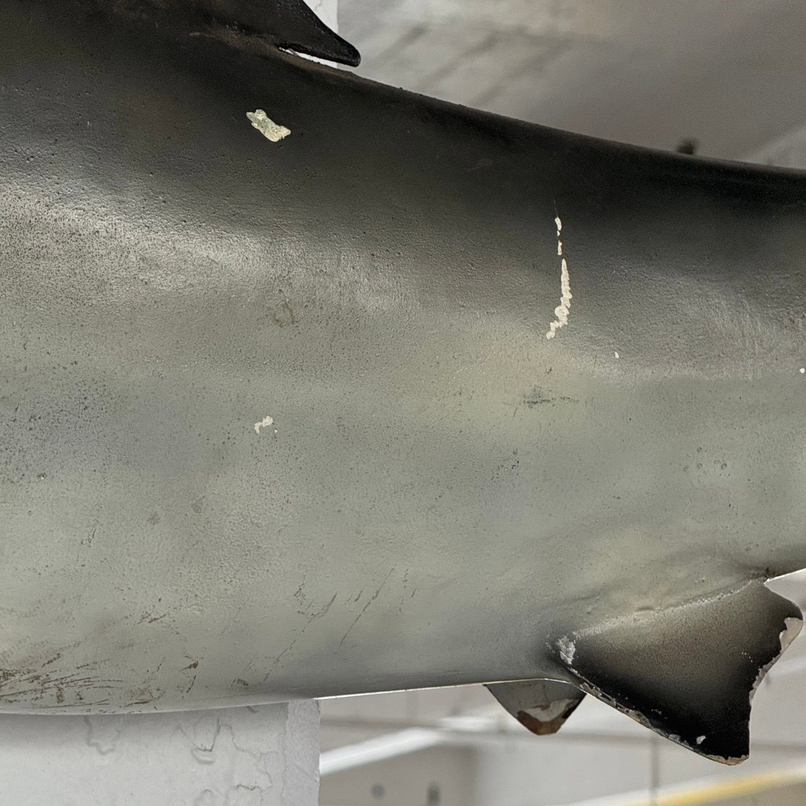 Mid 20th Century Life-Sized Fiberglass Mako Shark Display Mount - 6