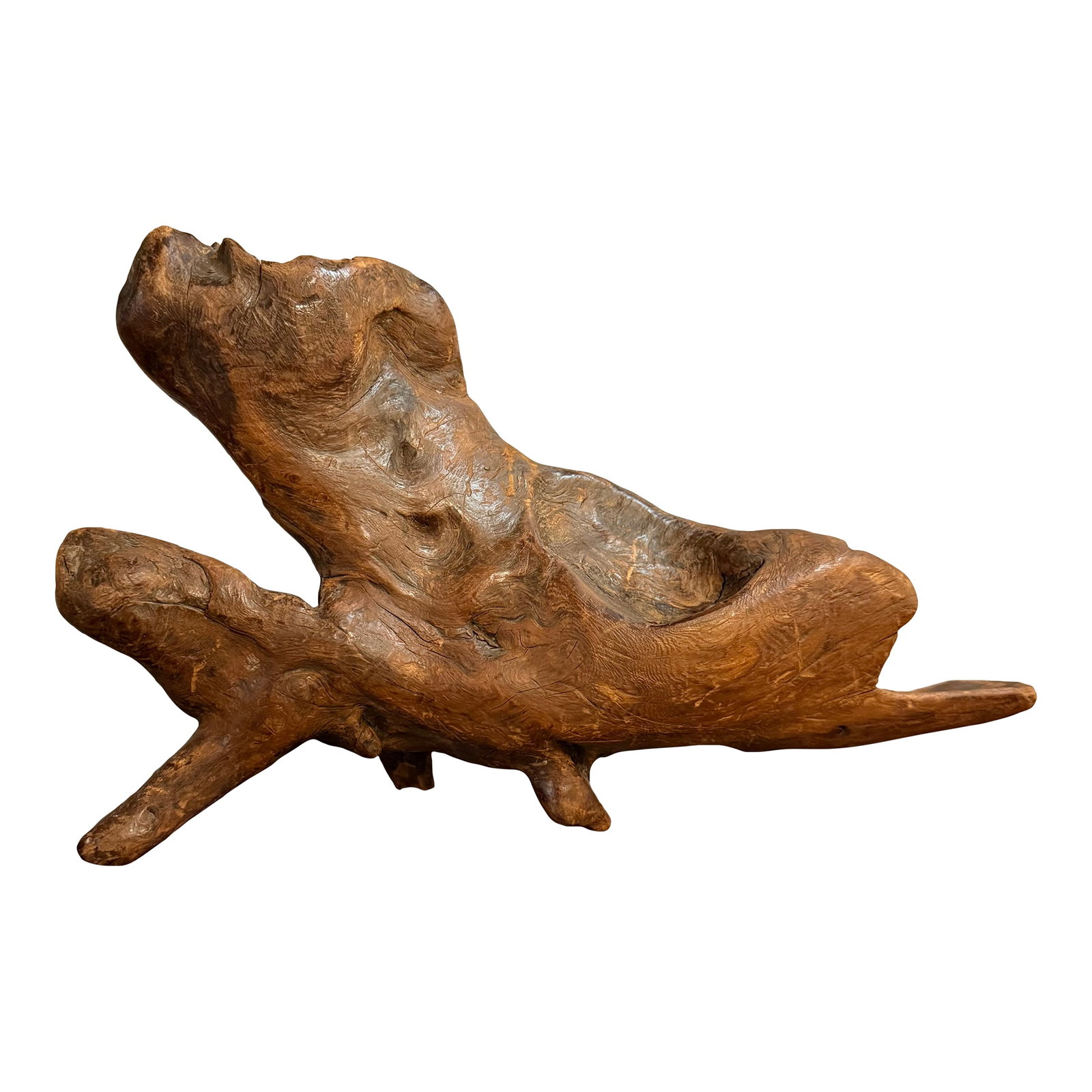 Mid-Century Modern Abstract Root Wood Sculpture: This organic Mid-Century Modern root wood sculpture is a great accent piece. The sculpture is an abstract animal-like form that sits on three legs. The wood features a fantastic rustic grain in medium