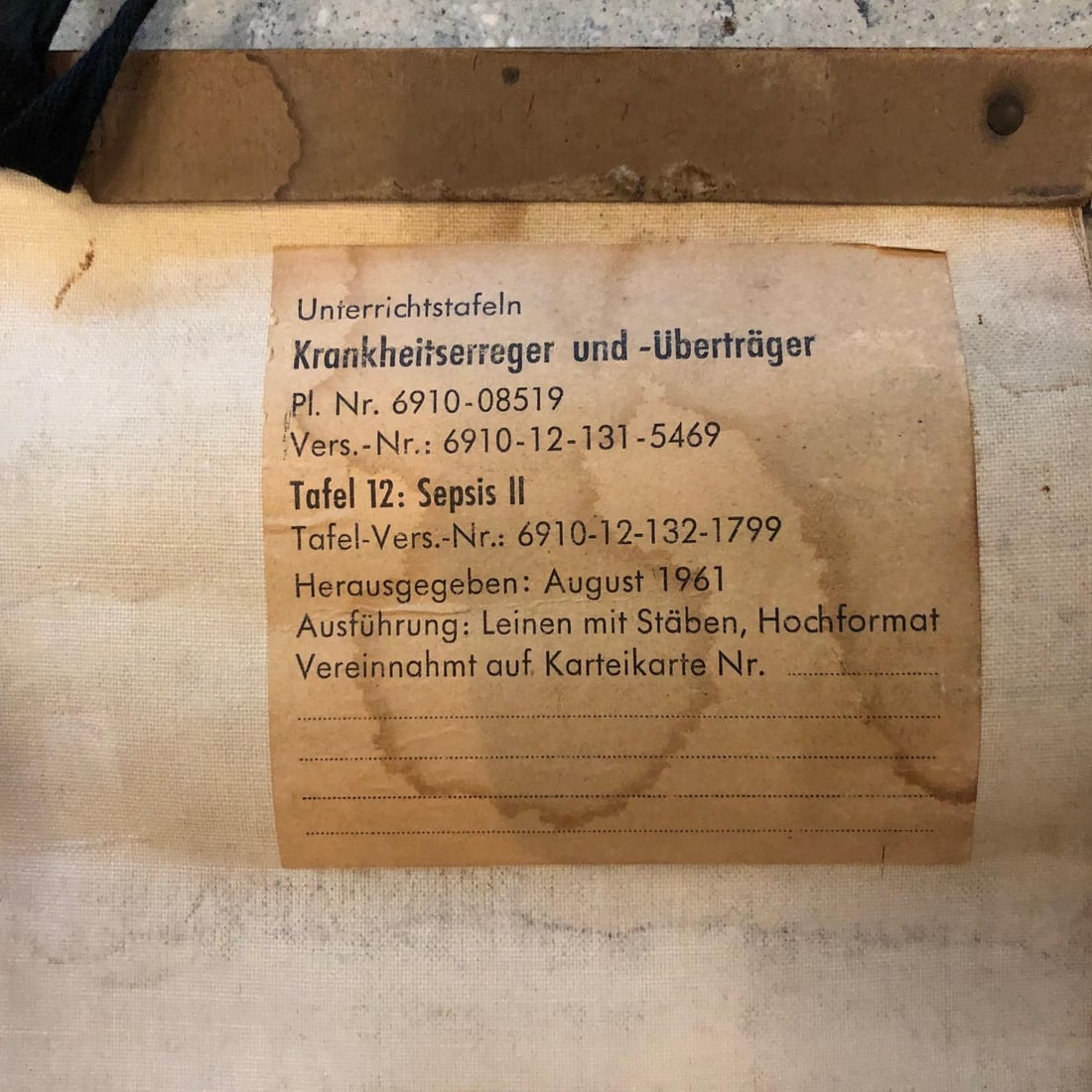 Mid 20th Century German Educational Anatomical Sepsis Study Chart - 7