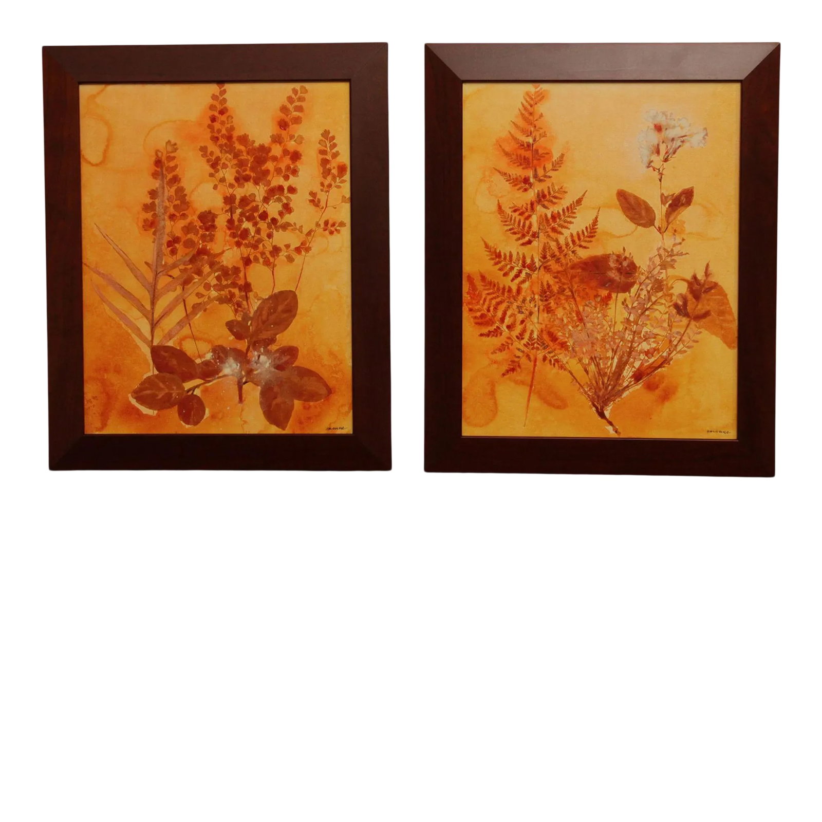 Botanical Ink-Wash Paintings - A Pair: Pair of Botanical Decorative Paintings, Ink-Wash and watercolor on illustration board, signed 'Hannar' lower right, Palladio gallery label en verso. Dimensions (each): 16.5x 12.75 sight, 19.5 x 15.75