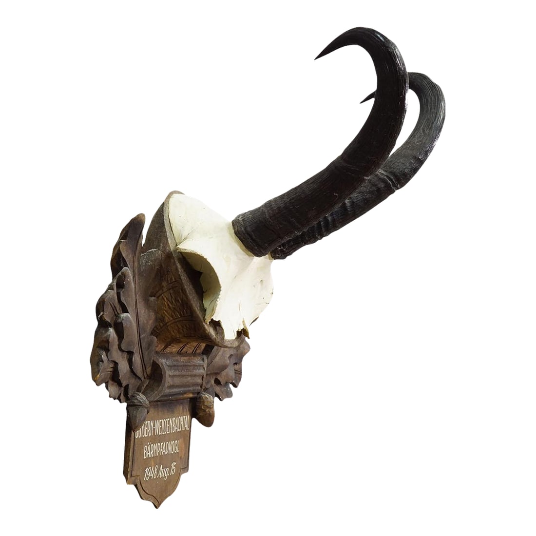 Large Chamois Trophy on Carved Plaque, Austria 1948 (1 of 6)