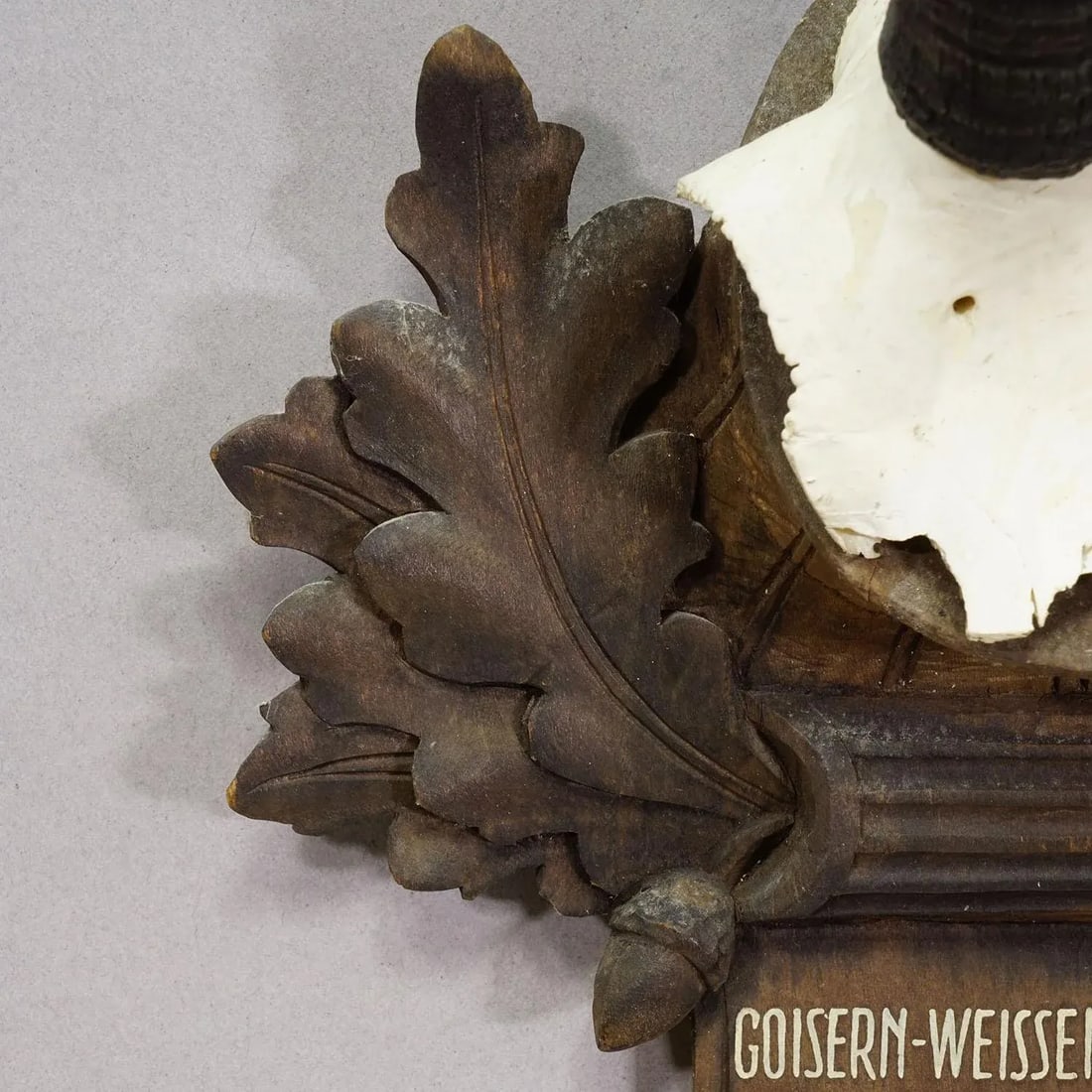 Large Chamois Trophy on Carved Plaque, Austria 1948 - 5
