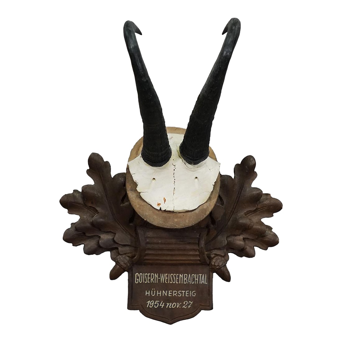 Large Chamois Trophy on Carved Plaque, Austria 1954 (1 of 6)