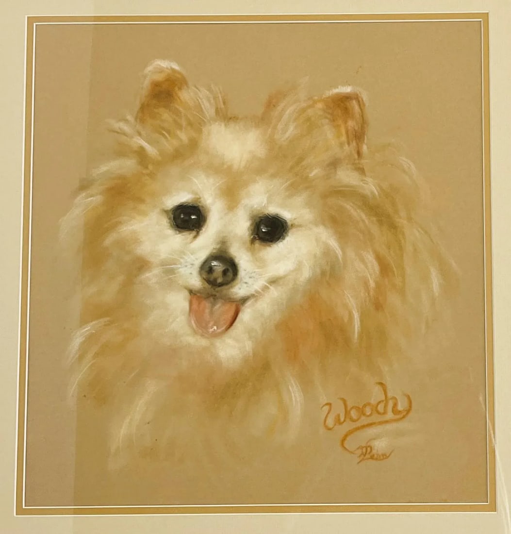 Framed Signed Original Pastel Portrait of a Happy Pomeranian - 3