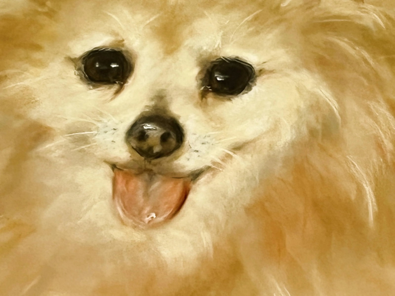 Framed Signed Original Pastel Portrait of a Happy Pomeranian - 4