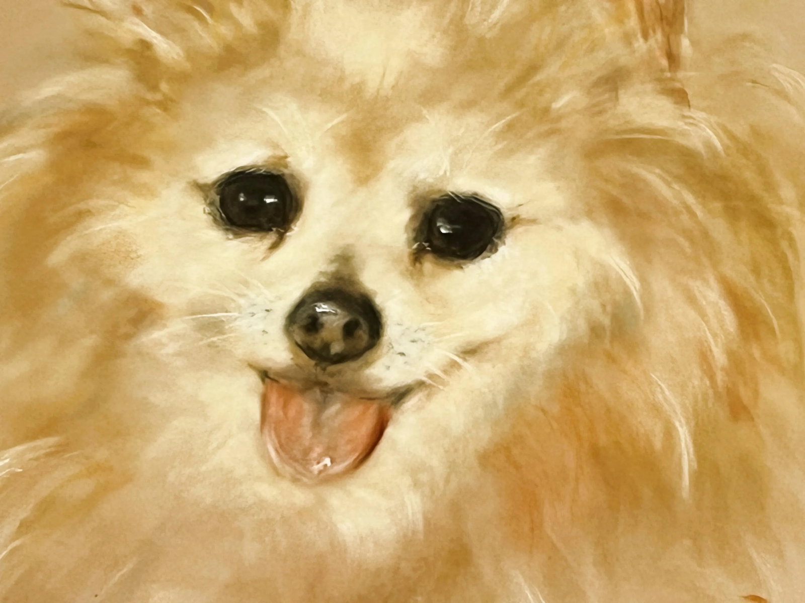 Framed Signed Original Pastel Portrait of a Happy Pomeranian - 8