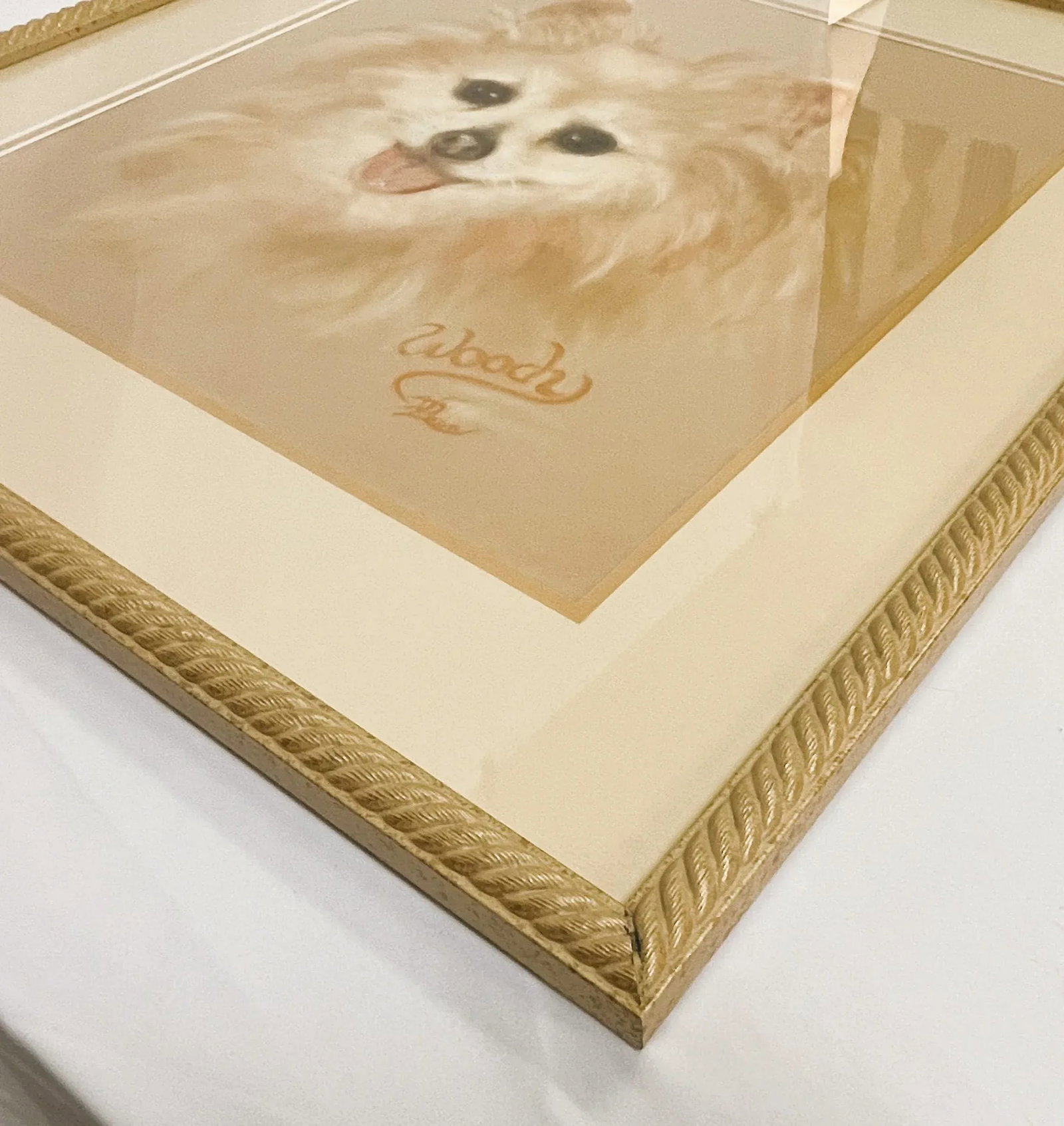 Framed Signed Original Pastel Portrait of a Happy Pomeranian - 9
