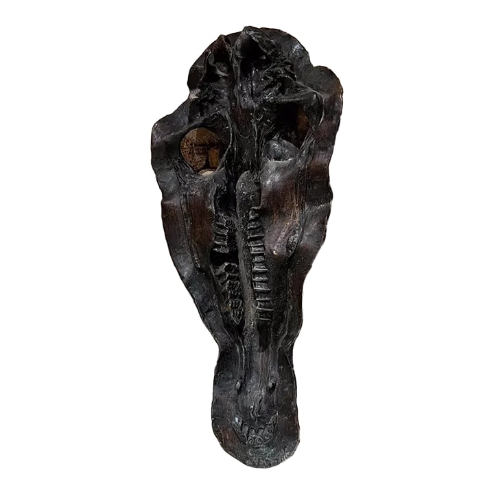 1980s Hippopotamus Head Bronze Skull Sculpture After Giacometti: AMBIANIC presents 1980s abstract bronze sculpture -hippopotamus head skull. In the style of Alberto Giacometti Unsigned 25 H x 12 W x 3 D. Preowned good original vintage unrestored condition. Retains