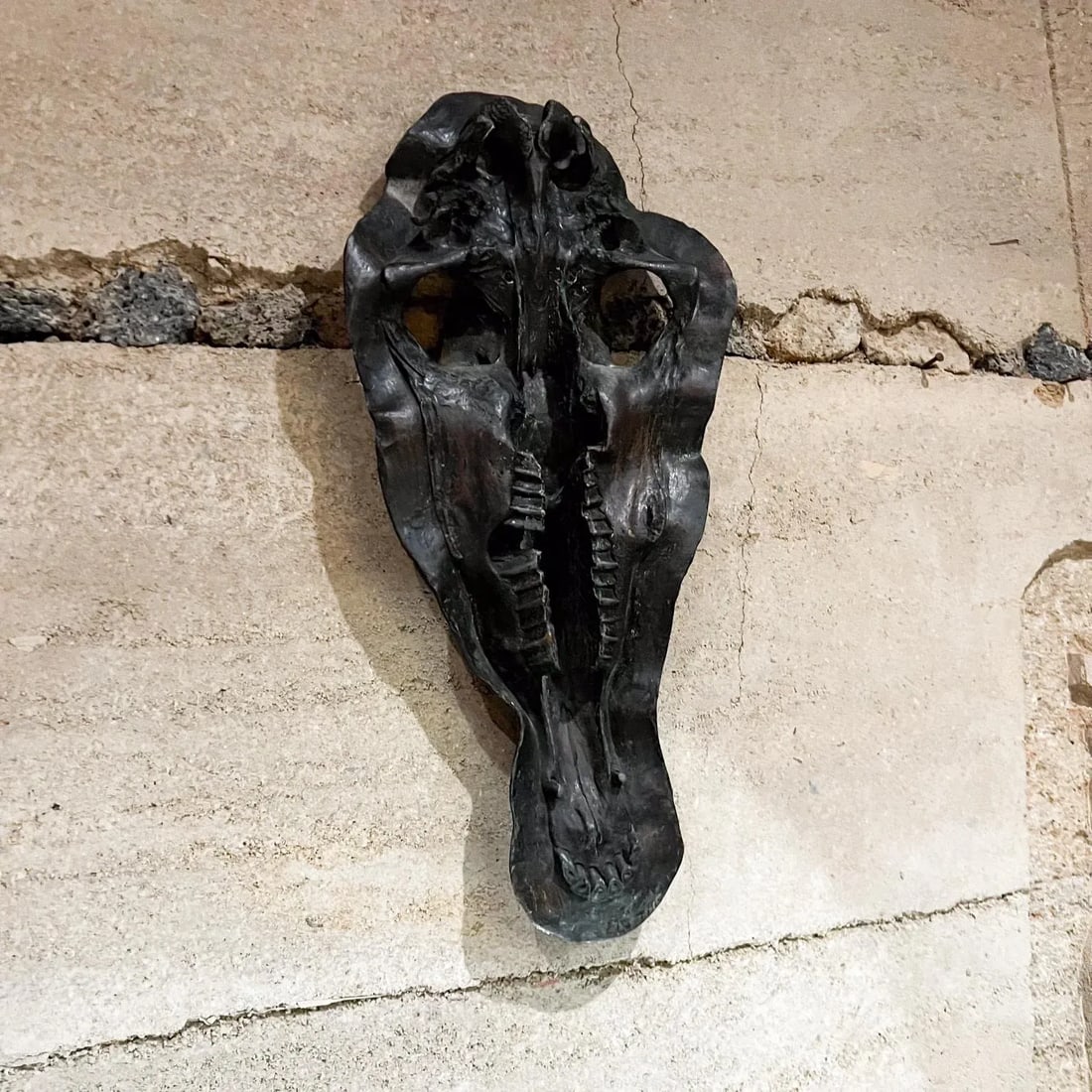 1980s Hippopotamus Head Bronze Skull Sculpture After Giacometti - 6