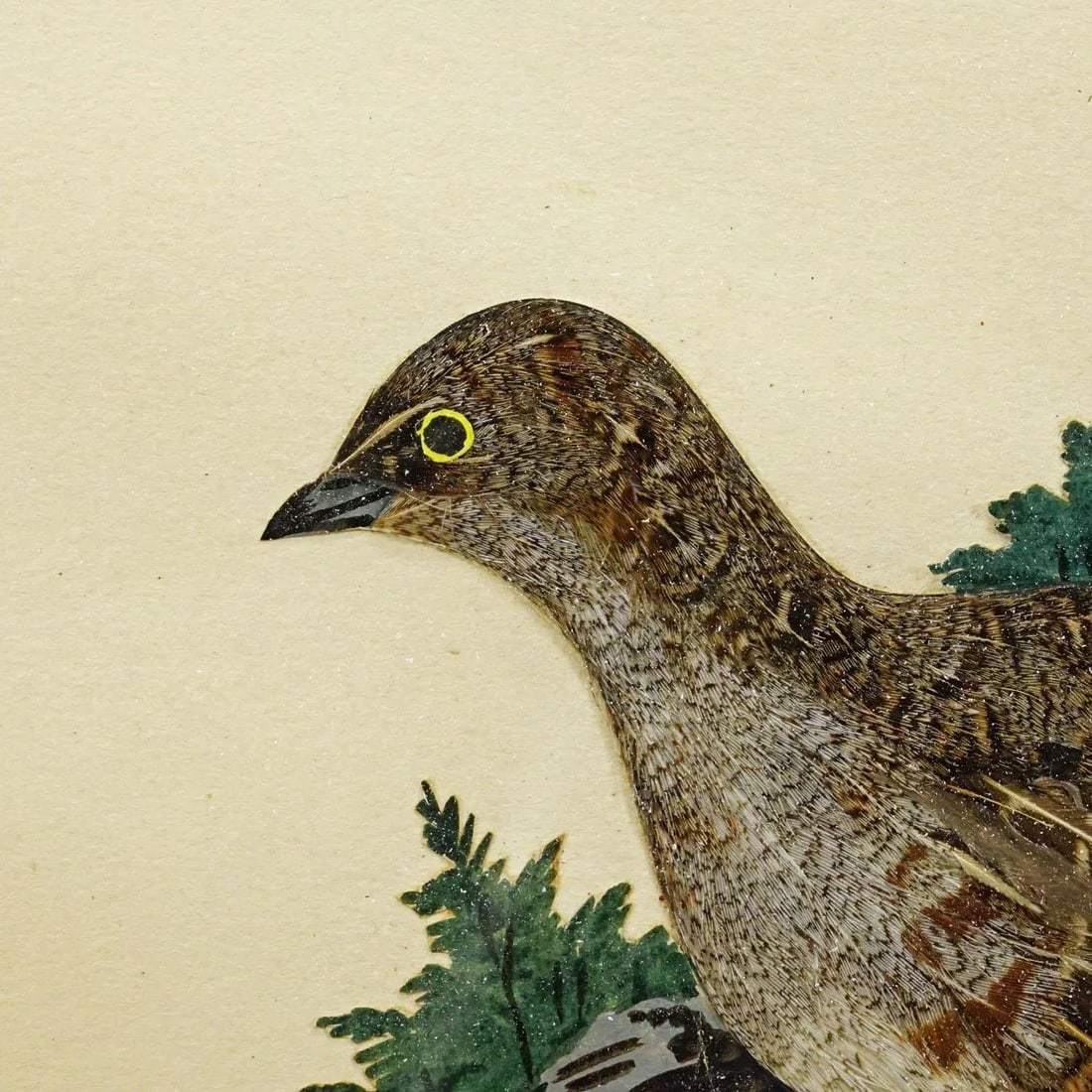 Victorian Taxidermy Diorama With Partridge, Germany Ca. 1900 - 5