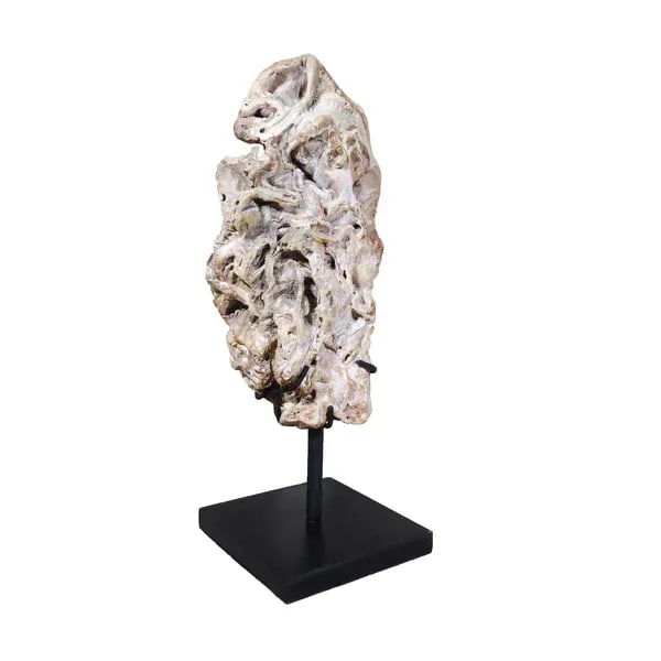 Fossil Scholar Stone - 4
