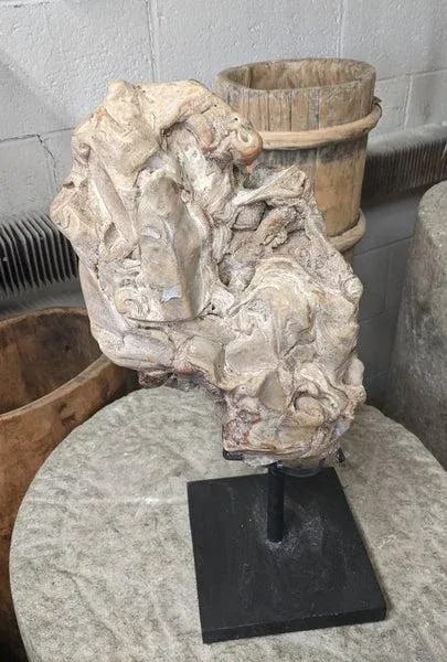 Fossil Scholar Stone - 7