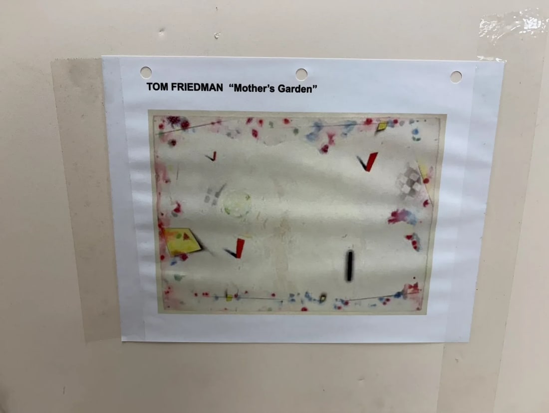 Tom Friedman (American) "Mother's Garden" - 4