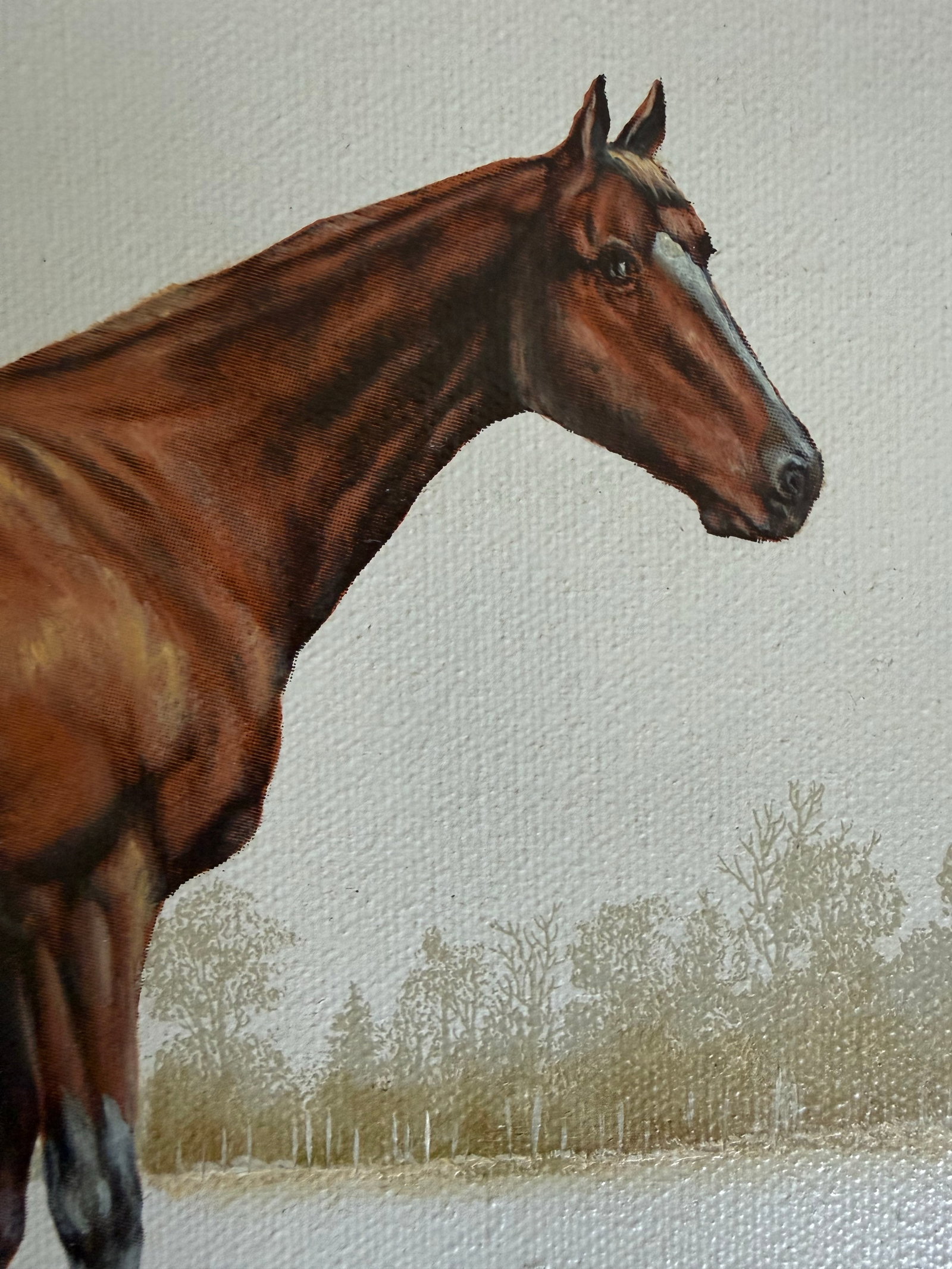Late 20th C. Signed "Thoroughbred" Horse Hand-Painted Serigraph by Carson - 3