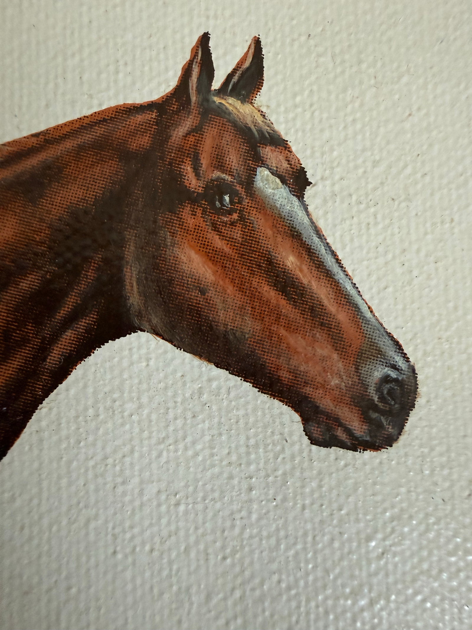 Late 20th C. Signed "Thoroughbred" Horse Hand-Painted Serigraph by Carson - 4