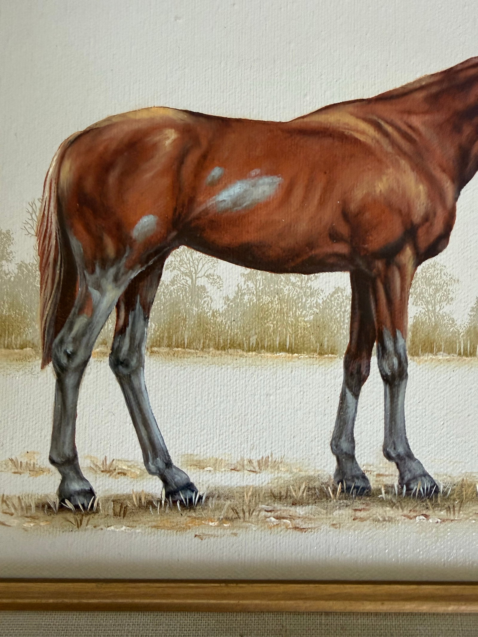 Late 20th C. Signed "Thoroughbred" Horse Hand-Painted Serigraph by Carson - 5
