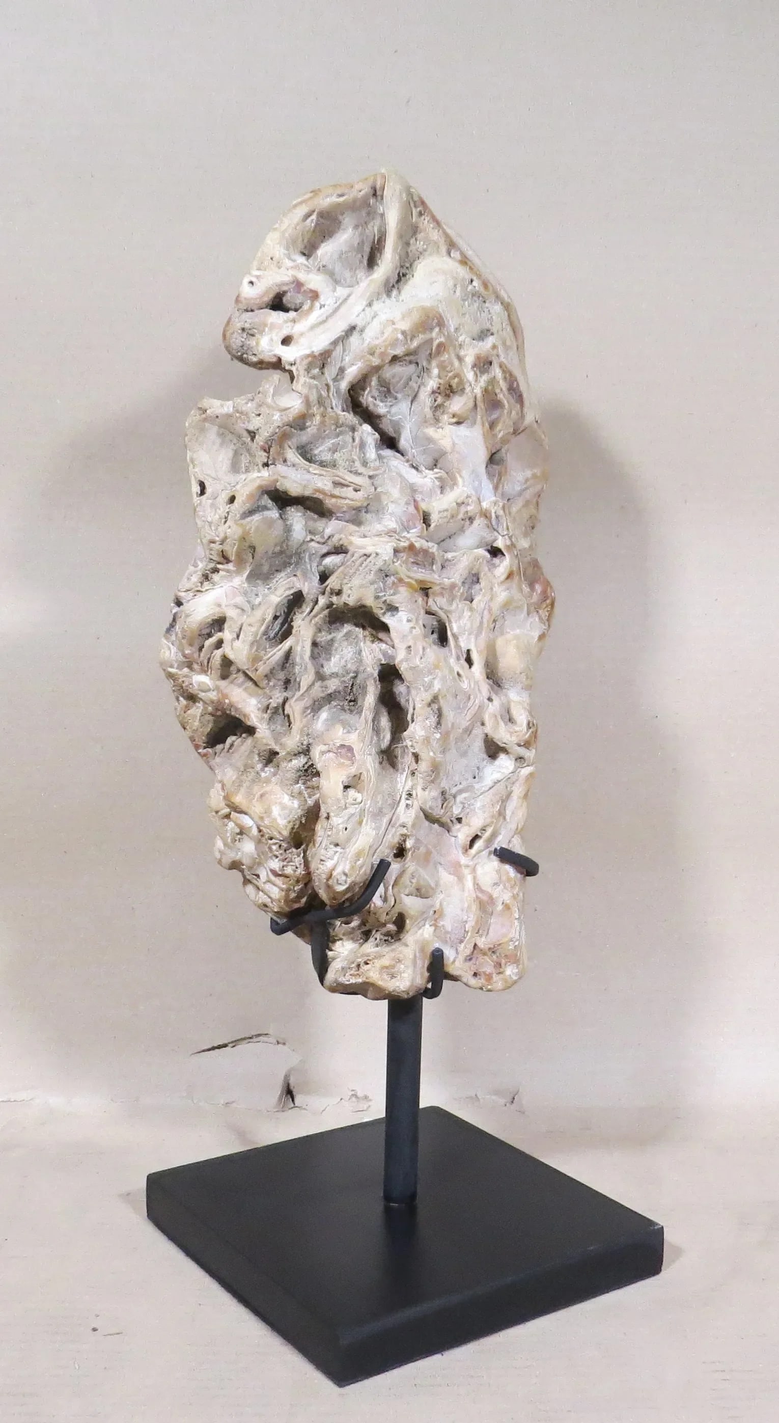 Organic Modern Fossil Scholar Stone - 5