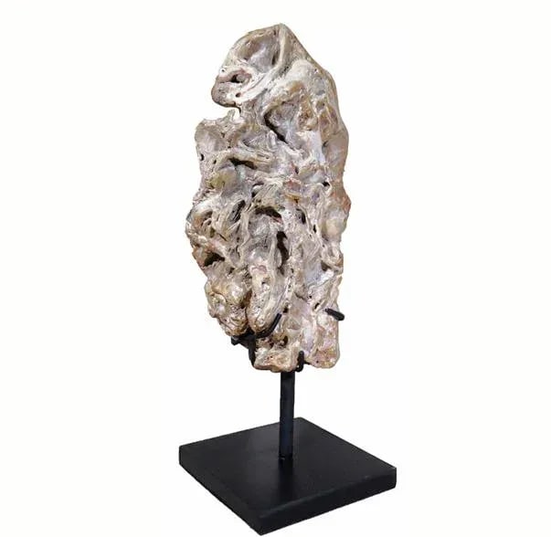 Organic Modern Fossil Scholar Stone - 6