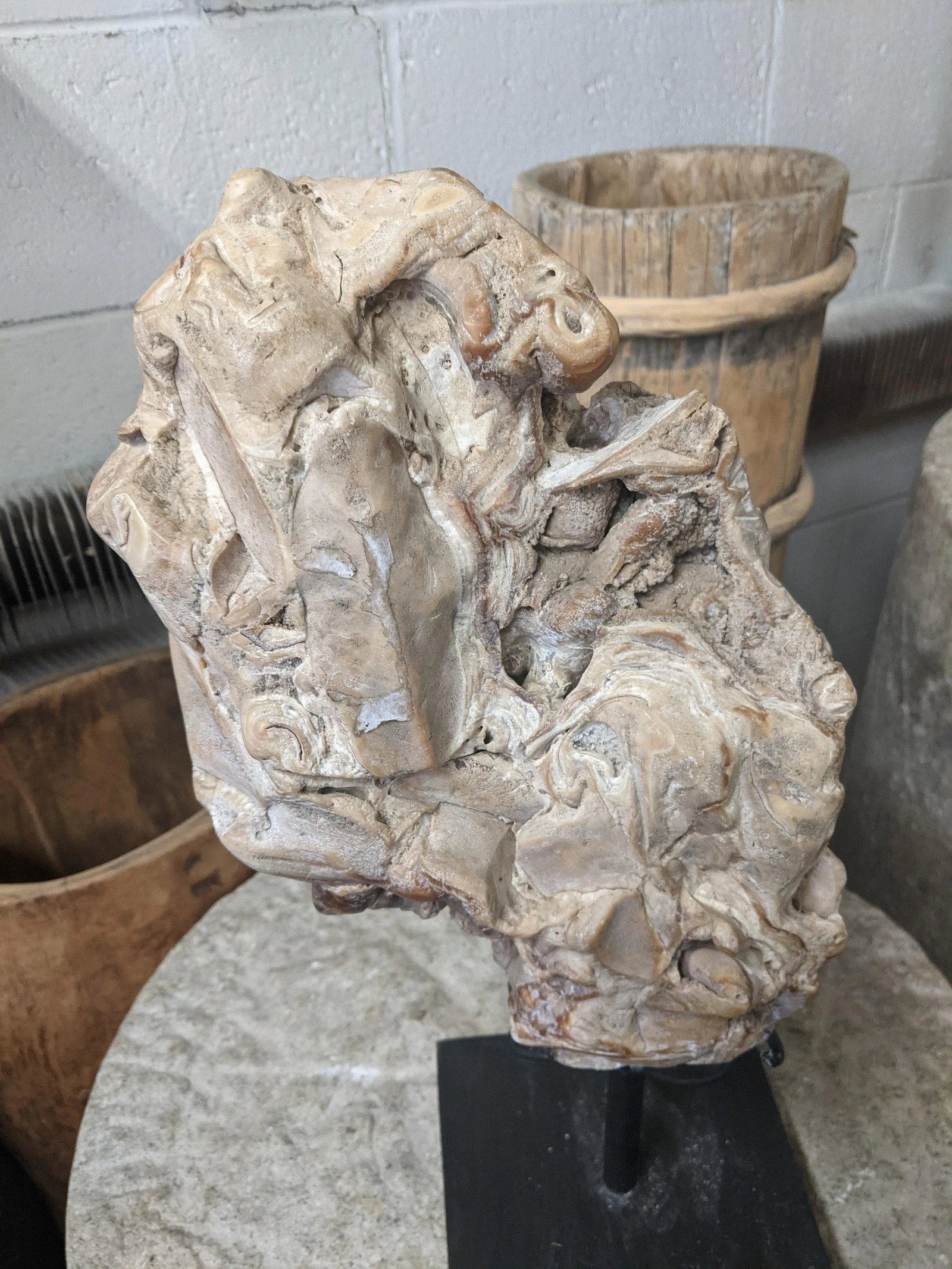 Organic Modern Fossil Scholar Stone - 7