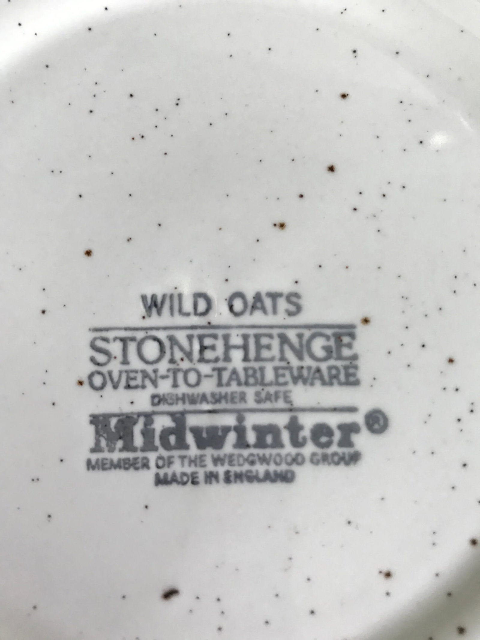 1960's Midwinter Stonehenge Tea Coffee Set With Mug Set and Luncheon Plates - 21 Pieces - 6